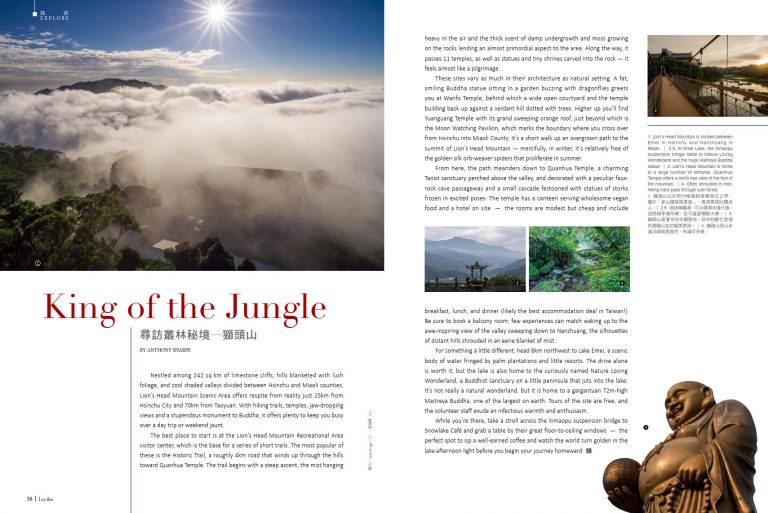Les Iles - king of the jungle thumb