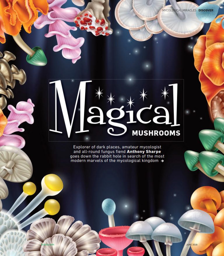 khuluma June 2018 - Magical mushrooms